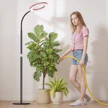 Adjustable Height Indoor Plant Growth Light With Auto Timer, USB Powered, Full Spectrum, 5V Low Voltage, Home Use - Black and White - View 12