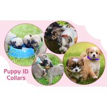 24 Pcs Puppy Collar And Leash Set, Adjustable Colorful Dog Collar And Leash Quick Release Clip Buckle Puppy Collars Whelping Collar For Small Medium Dogs Walking Training - Multicolor - View 8