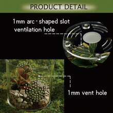 Terrarium Akrilik untuk Reptil & Laba-laba – Kandang Anti Bocor Ukuran Kecil/Sedang/Besar (Horizontal/Vertikal) | Ideal untuk Tarantula, Laba-laba Lompat, Katak & Cicak (Kecil, Bulat) - Clear - View 4
