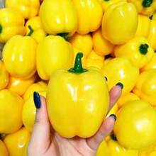 Realistic Sweet Pepper Squeeze Fidget Toy Crunch ASMR Sound Effect Stress Relief Decompression Toy For Adults - Multicolor - View 3