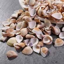 50g/100g/150g Light-Colored Triangle Shells | Elegant Spiral Shells - Suitable For Fish Tank, Aquarium Bottom Sand Filling, Bohemian Coastal Decor, Christmas Tree, Birthday Party Decoration, Wedding And Daily Use, Craft Materials, Halloween Gift - Set - View 1
