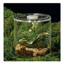 Terrarium Akrilik untuk Reptil & Laba-laba – Kandang Anti Bocor Ukuran Kecil/Sedang/Besar (Horizontal/Vertikal) | Ideal untuk Tarantula, Laba-laba Lompat, Katak & Cicak (Kecil, Bulat) - Clear - View 3