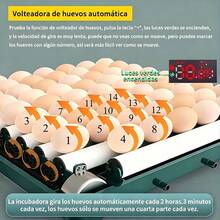 Egg Handling Supplies - US A Type Plug(110-127V) - View 3