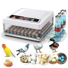 Egg Handling Supplies - US A Type Plug(110-127V) - View 1