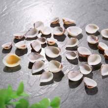 50g/100g/150g Light-Colored Triangle Shells | Elegant Spiral Shells - Suitable For Fish Tank, Aquarium Bottom Sand Filling, Bohemian Coastal Decor, Christmas Tree, Birthday Party Decoration, Wedding And Daily Use, Craft Materials, Halloween Gift - Set - View 7