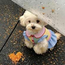 1pc Pet Shirt, Casual Comfortable Breathable, Spring/Autumn/Summer Cat Dog Clothes, Suitable For Teddy, Poodle And Other Small Pets - Multicolor - View 5