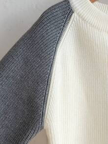 Boys Casual Stand Collar Zip-Up Long Sleeve Knit Cardigan Sweater, Colorblock Patchwork Ribbed Texture, Minimalist Versatile For Daily Casual School Wear, Spring Autumn Winter - Apricot - View 8