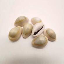 Siput Harta Karun Cincin Emas | Siput Kecil dengan Pola Unik - Cocok untuk Kreasi Lanskap Mikro Akuarium Tangki Ikan, Pengganti Cangkang Eksklusif Kepiting Laut Mini, Lonceng Angin Keong, Bahan Liontin Aksesori, Hadiah Halloween - Mengatur - View 9