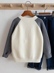 Boys Casual Stand Collar Zip-Up Long Sleeve Knit Cardigan Sweater, Colorblock Patchwork Ribbed Texture, Minimalist Versatile For Daily Casual School Wear, Spring Autumn Winter - Apricot - View 2