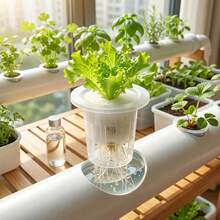 20/10pcs Plastic Hydroponic Vegetable Baskets (With Square Sponge Planting Baskets), Secures Seeds, Prevents Drifting, Transparent To See Roots, Balcony Greenhouse Hydroponic System Accessories, Soil-Free Planting Cups - A - View 2
