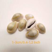 Siput Harta Karun Cincin Emas | Siput Kecil dengan Pola Unik - Cocok untuk Kreasi Lanskap Mikro Akuarium Tangki Ikan, Pengganti Cangkang Eksklusif Kepiting Laut Mini, Lonceng Angin Keong, Bahan Liontin Aksesori, Hadiah Halloween - Mengatur - View 11
