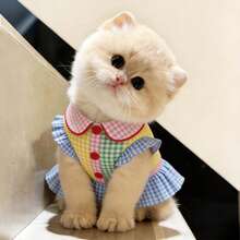 1pc Pet Shirt, Casual Comfortable Breathable, Spring/Autumn/Summer Cat Dog Clothes, Suitable For Teddy, Poodle And Other Small Pets - Multicolor - View 7