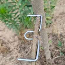 19PCS Metal Tree Branch Bending Clips, 5.11in Gardening Plant Branch Training Extension Clips, Reusable Orchard Branch Shaping Angle Opening Tool, Suitable For Fruit Trees, Bonsai And Garden Pruning - A - View 5