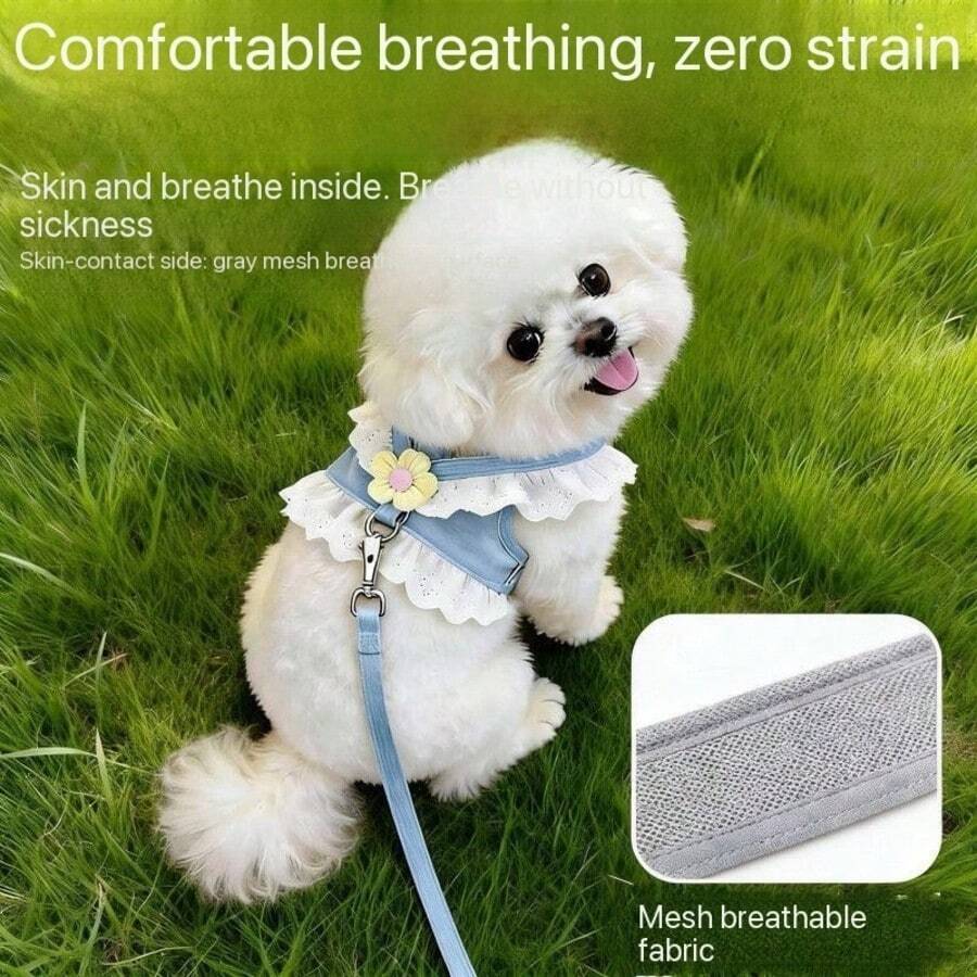 Pet Leash For Small Dogs And Cats, All-Season Universal Chest Harness, Dog Chain, Dog Supplies, Princess Style Lace Trim Pink Skirt Edge Cat Leash Harness For Spring And Summer Walking