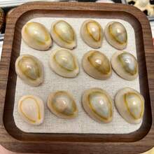 Siput Harta Karun Cincin Emas | Siput Kecil dengan Pola Unik - Cocok untuk Kreasi Lanskap Mikro Akuarium Tangki Ikan, Pengganti Cangkang Eksklusif Kepiting Laut Mini, Lonceng Angin Keong, Bahan Liontin Aksesori, Hadiah Halloween - Mengatur - View 6