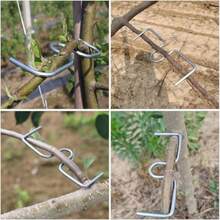 19PCS Metal Tree Branch Bending Clips, 5.11in Gardening Plant Branch Training Extension Clips, Reusable Orchard Branch Shaping Angle Opening Tool, Suitable For Fruit Trees, Bonsai And Garden Pruning - A - View 7
