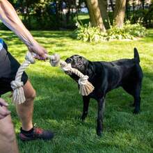 92 Cm, 700 G Machine‑Washable Rope Dog Toy, Sturdy Tug‑Chew‑Fetch Play Accessory For Large Heavy‑Chewing Dogs, For Indoor And Outdoor Activity - Maple - View 2