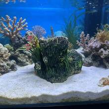 Flocked Moss Dual-Tube Resin Aquarium Decor With Artificial Plants, Hollow Tree Stump Fish & Shrimp Hide Cave, Natural Style Fish Tank Landscape Decoration - Happy Aquarium - View 5