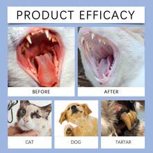 Pet- Oral Rinse For Daily Teeth Cleaning And Fresh Breath, Helps Pets Maintain Good Oral Health, Great Palatability And High Acceptance, Suitable For Home And Travel, Convenient And Quick, Practical Gift For Family And Friends - 100ml - View 7