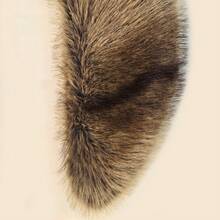 1pc Casual Faux Fur Autumn/Winter Women's Coat With Collar Accessory - Multicolor - View 8