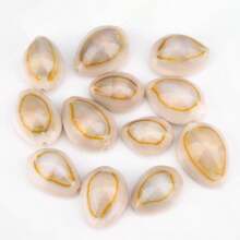 Siput Harta Karun Cincin Emas | Siput Kecil dengan Pola Unik - Cocok untuk Kreasi Lanskap Mikro Akuarium Tangki Ikan, Pengganti Cangkang Eksklusif Kepiting Laut Mini, Lonceng Angin Keong, Bahan Liontin Aksesori, Hadiah Halloween - Mengatur - View 8