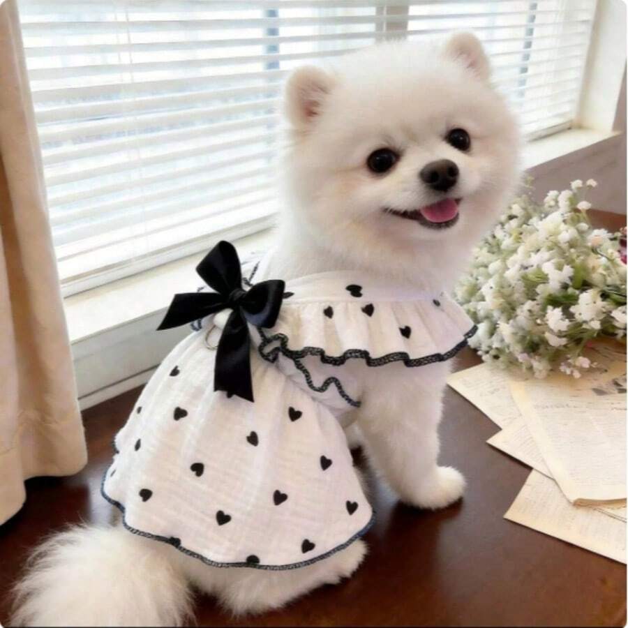春夏寵物衣,適用於泰迪、比熊、博美等犬貓,愛心主題狗狗服飾 - 黑色 - 查看 1