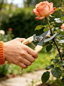 Stainless Steel Garden Pruning Shears, Straight Blade And Curved Blade Dual Style Pruning Tool, Non-Slip Plastic Handle Plant Trimming Scissors, Suitable For Flowers, Shrubs, Fruit Tree Branch Pruning, Home Gardening Manual Cutting Tool - Multicolor - View 3