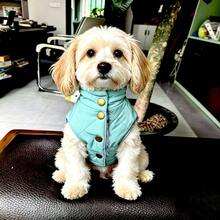 Back 30CM Dog Jacket, Windproof Dog Coat, Lightweight Puffer Vest | Winter Warm Jacket Cold Weather Coats For Small Dogs, Adjustbale Fit Leash Hole, Blue M - Cadet Blue - View 4