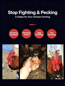 25/50/100pcs No-Rod Eye Protection Glasses, Eye Covers, Anti-Pecking Glasses, Anti-Pecking Feathers, Anti-Fighting, Chicken Accessories - A - View 8