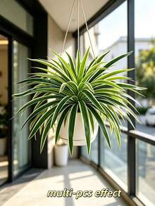 3pcs Hanging Artificial Spider Plant, Fresh Natural Green Foliage, Suitable For Indoor Wall And Windowsill Decoration, Also Applicable For Potted Plants And Garden Planters - Multicolor - View 7