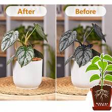 Large Particle Desalinated Coconut Shell Fiber Soil For Plants High Quality Plant Cultivation Material Soil Amendment Garden Accessories For Orchids Succulents Potted Plants Root Protection Indoor Outdoor Reusable Compostable Substrate DIY Planting - Camel - View 4