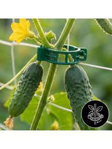 Plant Support Clips 150 Pcs For Stems And Growing Shoots, Green PP And HDPE Snap Fasteners For Tomatoes, Easy Tool Free Attachment To Strings Stakes And Garden Supports, Reusable Moisture Resistant Design Ideal For Garden Plants - A - View 3