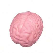 1pc Realistic Brain Squeeze Stress Relief Toy, Soft Stretchable TPR Material Brain Shaped Soft Toy, Funny Prank Anxiety Relief Hand Toy, Suitable For Adults And Children, Party Gift, Halloween Independence Day Gift - Multicolor - View 9