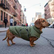 Dog Warm Winter Jacket, Windproof Pet Jacket (With Leash Hole) | Winter Jacket, Thick & Warm, Waterproof Dog Coat With Reflective Strip, Suitable For Cold Weather - Green - View 9
