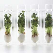 5pcs Glass Test Tubes With Cork Stoppers, Transparent Round Bottom Glass Test Tubes, Suitable For Bath Salts, Candy Storage, Science Lab, Party, Plants, Gifts And Storage Bottles, Wedding Decoration Party Favors Best Gifts, Birthday, Graduation - Multicolor - View 7