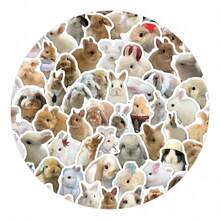 200 piezas Pegatinas realistas de conejos, Pegatinas de conejos comiendo zanahorias, Pegatinas de animales realistas, Diseño de pegatinas lindas y frescas, Pegatinas de decoración de vida, Pegatinas convenientes para decoración de tabletas y portátiles - 2 juegos - Ver 7