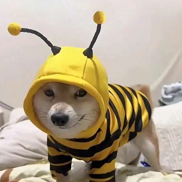 1 pieza Sudadera con capucha de disfraz de abeja para mascotas, disfraz de animal lindo