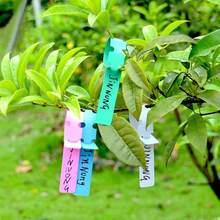 100pcs Waterproof Plastic Plant Labels Hanging Plant Tags Gardening Plant Marker Labels Tools For Flower Pots And Planters - A - View 4