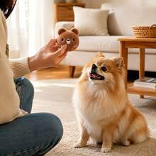 Cute Bear Pet Interactive Bouncing Sound Toy Ball, Dog And Cat Play Boredom Relief Companion Toy, Sound-Attracting For Dogs And Cats, Durable Bite-Resistant Material, Slow Rebound Pet Companion Play Toy - Brown - View 4