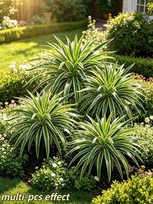 3pcs Hanging Artificial Spider Plant, Fresh Natural Green Foliage, Suitable For Indoor Wall And Windowsill Decoration, Also Applicable For Potted Plants And Garden Planters - Multicolor - View 11