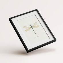 6pcs/Set Dragonfly Specimen Posters Suitable For Kids Room Decor - Vertical Wall Charts, Modern Art Prints With Dragonfly & Suitable For Bedroom, Educational Gifts For Teen And,Halloween Christmas Decor - Cartoon - View 5