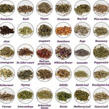 30-Bottle Dried Herbs And Flowers Set For Witchcraft Crafts, Labelled Glass Vials With Gift Box And Decorative Spoon, DIY Ritual Projects, Altar Decor And Botanical Blending For Adults - 30P - View 2
