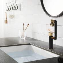 RIBASUBB Bathroom Faucet 360° Swivel Dual Function Sprayer Brass Black Gold Modern Lever Ceramic Valve - Black and Gold - View 1