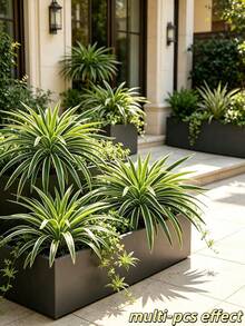 3pcs Hanging Artificial Spider Plant, Fresh Natural Green Foliage, Suitable For Indoor Wall And Windowsill Decoration, Also Applicable For Potted Plants And Garden Planters - Multicolor - View 10