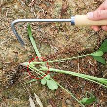 1pc Durable Stainless Steel V-Shaped Double Hook Weeder With Ergonomic Solid Wood Handle, Efficient Weeding Tool For Lawn Care - Multicolor - View 8