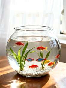 Bể cá cảnh nhựa trong suốt, môi trường sống mini cho cá Betta, bể hệ sinh thái cảnh quan nước để bàn, trang trí phòng khách tại nhà, bình trồng cây thủy sinh cảnh quan - Trong sáng - Xem 6