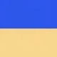 Gold + Blue