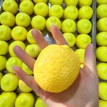 1 buah Bola Buatan Tangan Lemon Sensitif Suhu - Bunyi Renyah - Bola Buatan Tangan - Mainan Remas - Mainan Lembut - Hadiah Ulang Tahun - Hadiah Sempurna - Hadiah Halloween - Hadiah Natal - Hadiah - Mainan & Permainan - MultiWarna - View 8