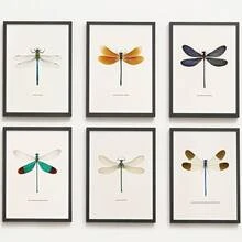 6pcs/Set Dragonfly Specimen Posters Suitable For Kids Room Decor - Vertical Wall Charts, Modern Art Prints With Dragonfly & Suitable For Bedroom, Educational Gifts For Teen And,Halloween Christmas Decor - Cartoon - View 2