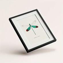 6pcs/Set Dragonfly Specimen Posters Suitable For Kids Room Decor - Vertical Wall Charts, Modern Art Prints With Dragonfly & Suitable For Bedroom, Educational Gifts For Teen And,Halloween Christmas Decor - Cartoon - View 6